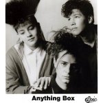 Anything Box - Discography.jpg Anything Box - Discography.jpg